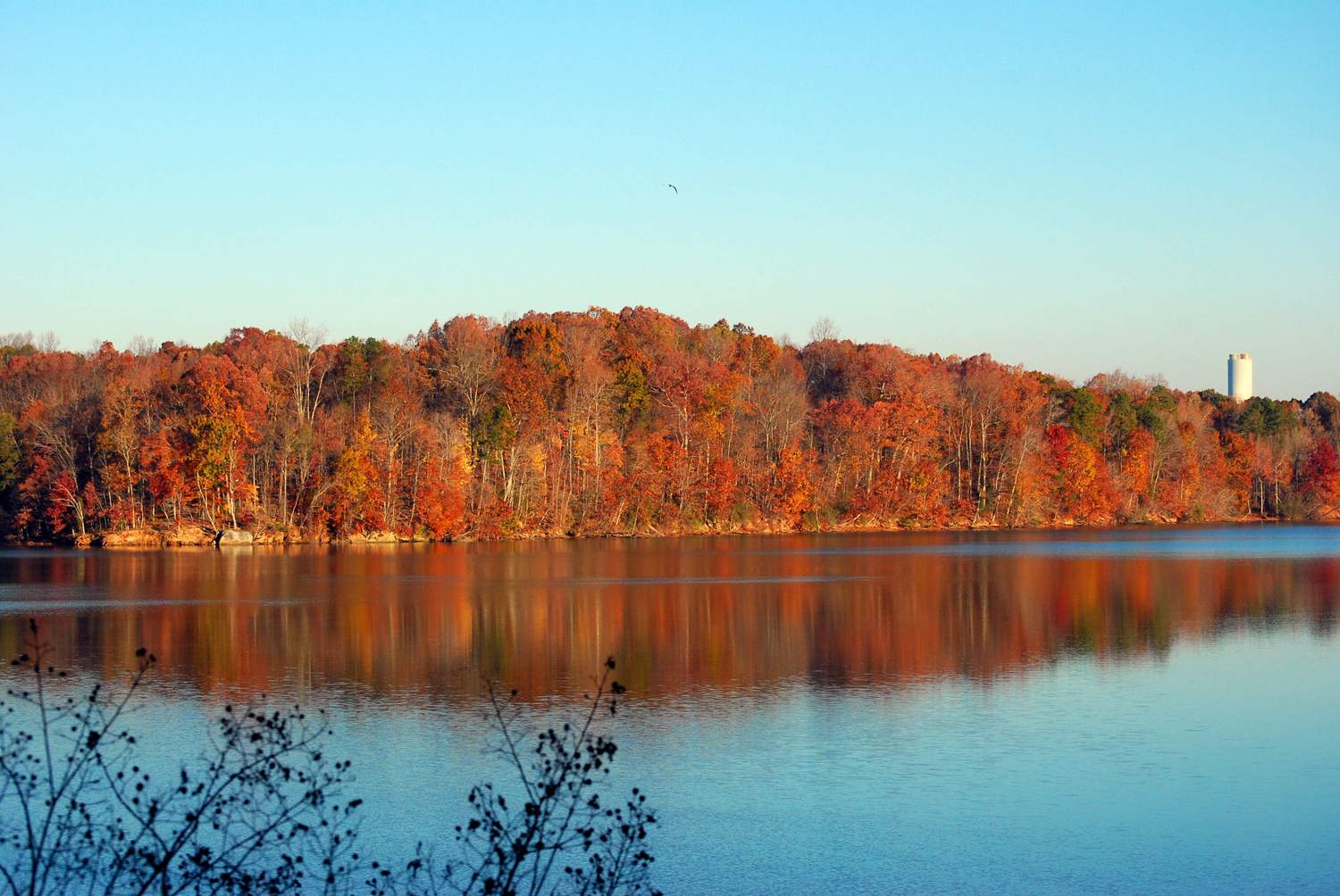 lake view in fall from building 9816